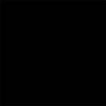 P01 Black