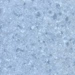 GRA965 Betula